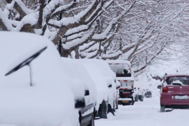 内蒙古通辽雪灾造成1人死亡、5千人受灾，如何在极端天气下确保自身安全？