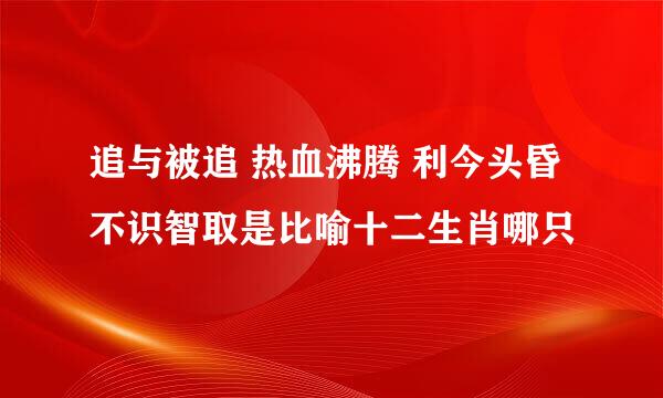 追与被追 热血沸腾 利今头昏 不识智取是比喻十二生肖哪只