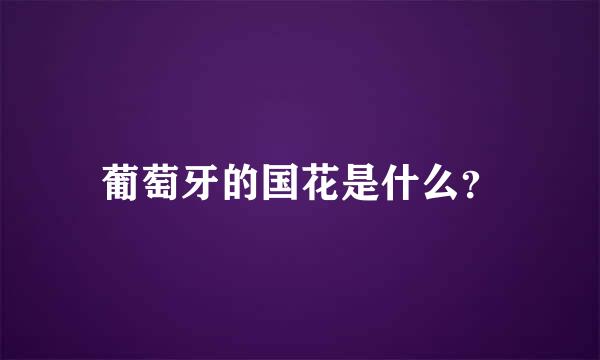 葡萄牙的国花是什么？