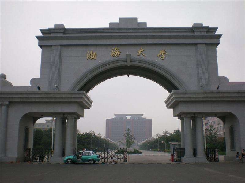 bhu是哪个大学