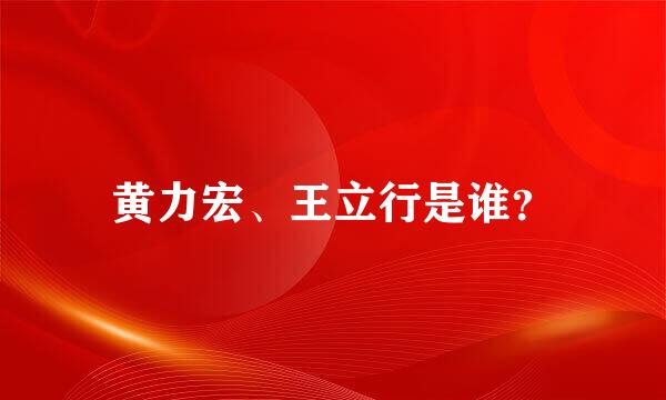 黄力宏、王立行是谁？