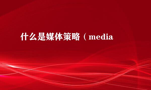 什么是媒体策略（media