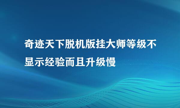 奇迹天下脱机版挂大师等级不显示经验而且升级慢