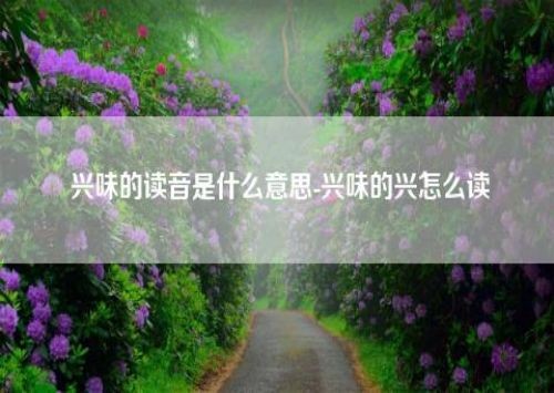 兴味的意思和拼音