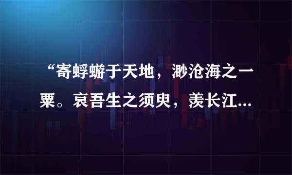 “寄蜉蝣于天地，渺沧海之一粟。哀吾生之须臾，羡长江之无穷”是什么意思？