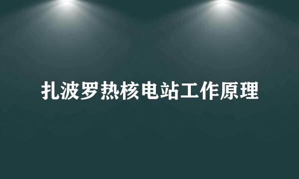 扎波罗热核电站工作原理