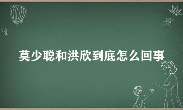 莫少聪和洪欣到底怎么回事