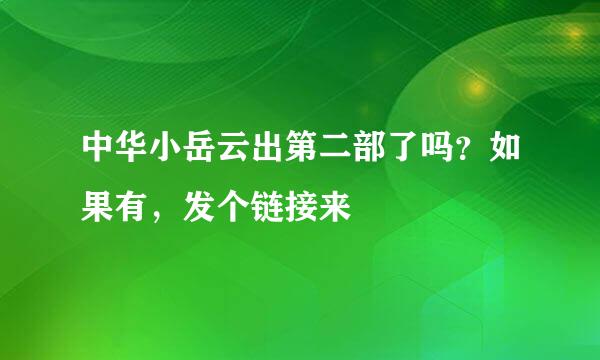 中华小岳云出第二部了吗？如果有，发个链接来