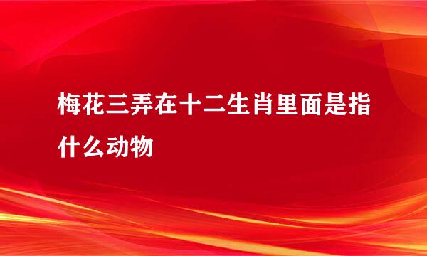 梅花三弄在十二生肖里面是指什么动物