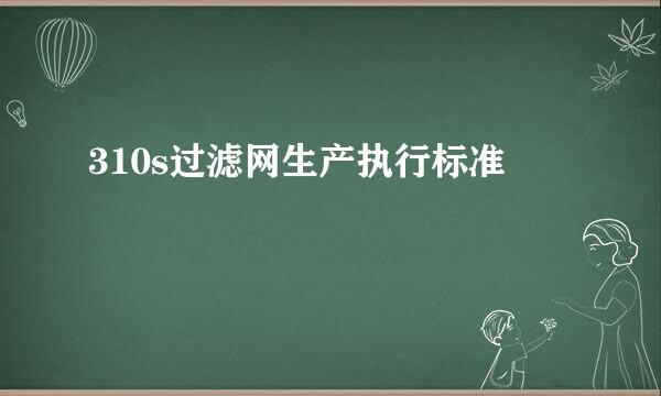 310s过滤网生产执行标准