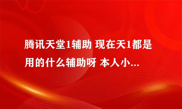 腾讯天堂1辅助 现在天1都是用的什么辅助呀 本人小白 求骨灰指导 。。