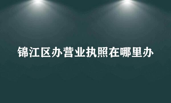 锦江区办营业执照在哪里办