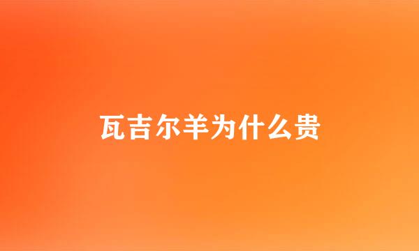 瓦吉尔羊为什么贵