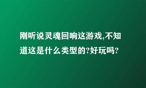 刚听说灵魂回响这游戏,不知道这是什么类型的?好玩吗?