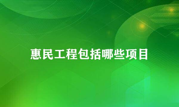 惠民工程包括哪些项目