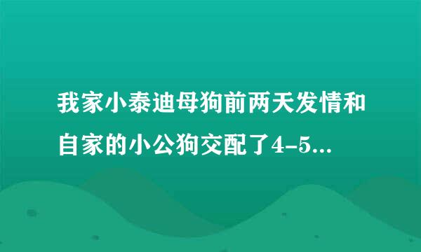 我家小泰迪母狗前两天发情和自家的小公狗交配了4-5次后，母狗先是呕吐，现阴部流暗褐色血水，怎么办↓？