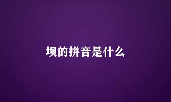 坝的拼音是什么