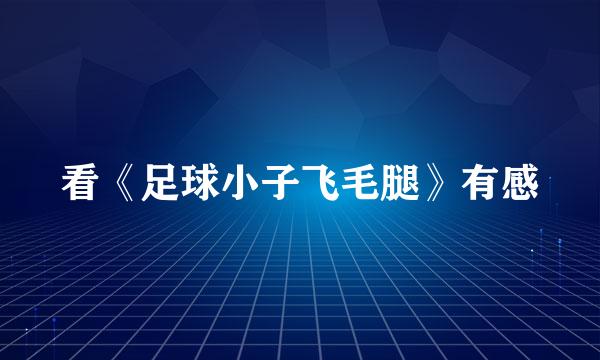 看《足球小子飞毛腿》有感