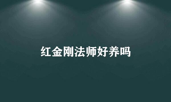 红金刚法师好养吗