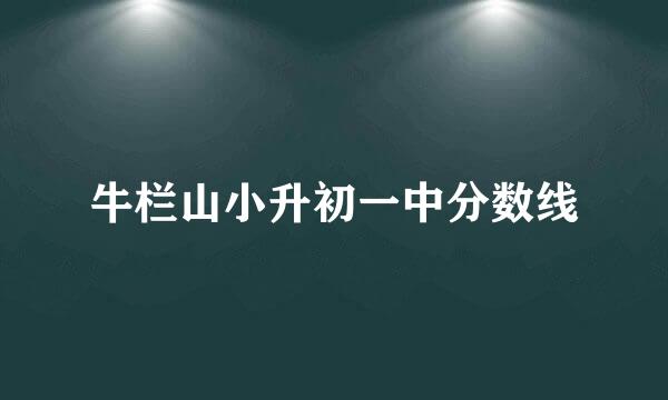 牛栏山小升初一中分数线