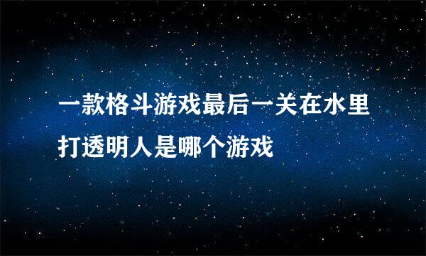 一款格斗游戏最后一关在水里打透明人是哪个游戏