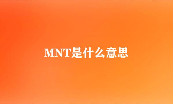 MNT是什么意思