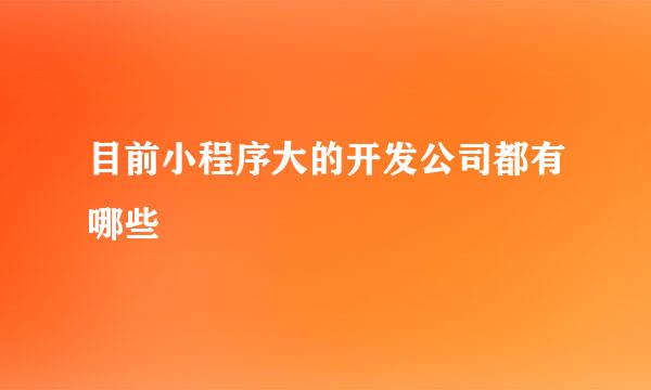 目前小程序大的开发公司都有哪些