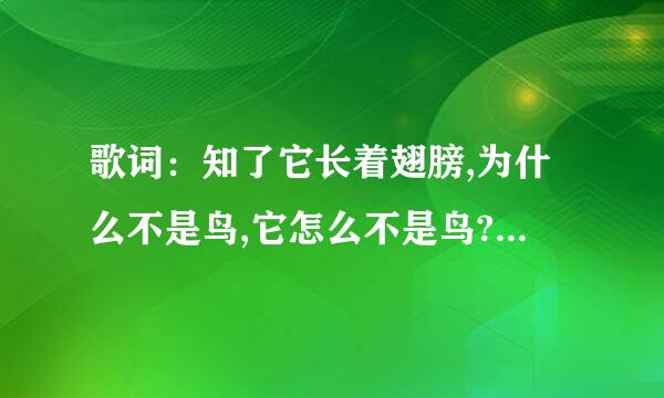 歌词：知了它长着翅膀,为什么不是鸟,它怎么不是鸟?电影正青春里的,是什么歌啊?