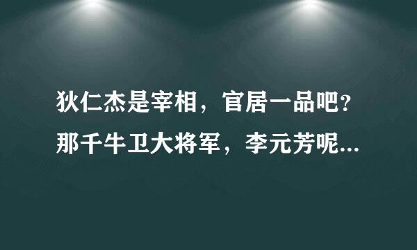 狄仁杰是宰相，官居一品吧？那千牛卫大将军，李元芳呢？官居几品？那