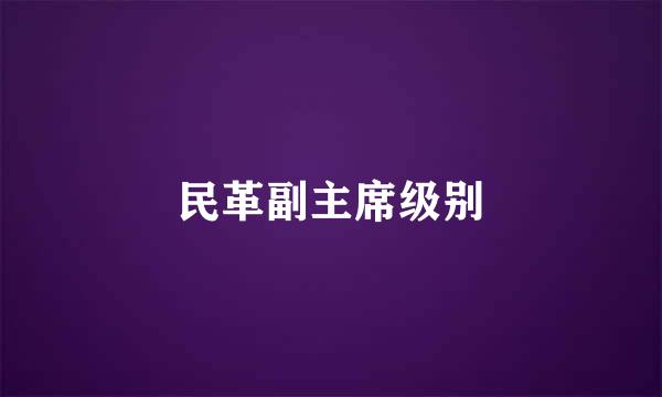 民革副主席级别