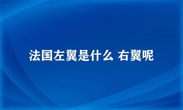 法国左翼是什么 右翼呢