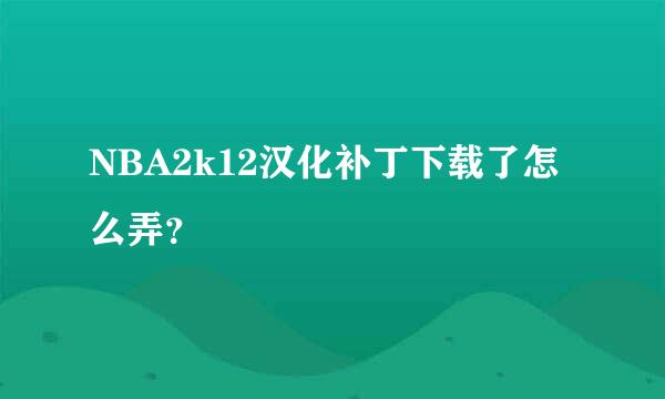 NBA2k12汉化补丁下载了怎么弄？