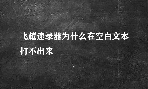 飞耀速录器为什么在空白文本打不出来