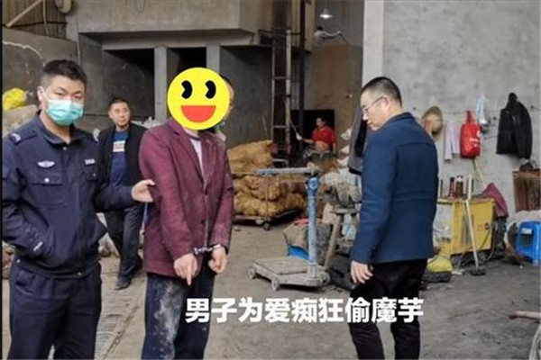 男子为打赏女主播偷2000斤魔芋，该男子会面临什么刑法？