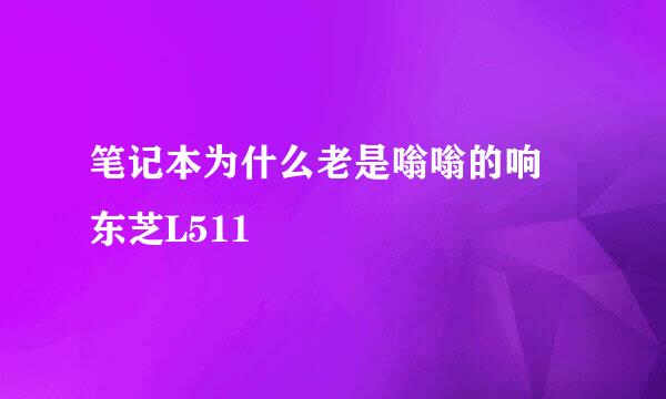 笔记本为什么老是嗡嗡的响 东芝L511