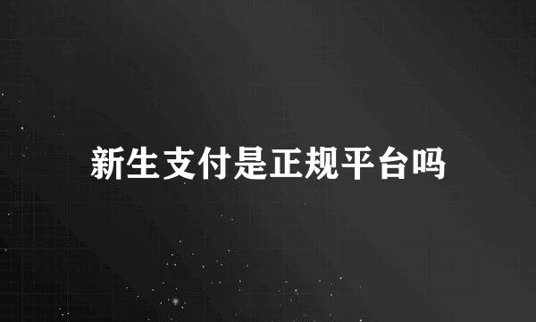 新生支付是正规平台吗