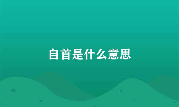 自首是什么意思