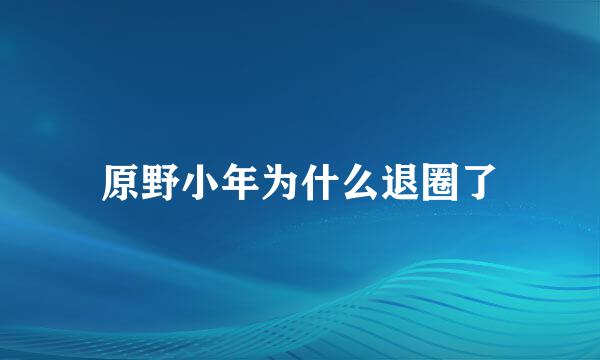 原野小年为什么退圈了