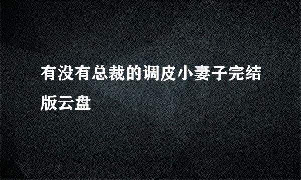 有没有总裁的调皮小妻子完结版云盘