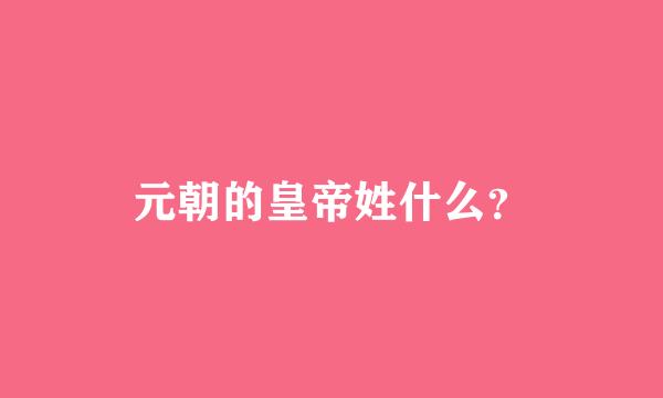 元朝的皇帝姓什么？