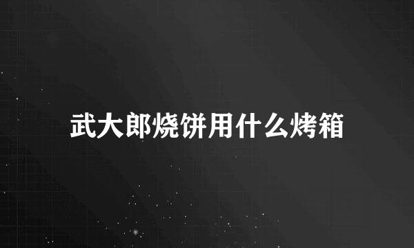 武大郎烧饼用什么烤箱