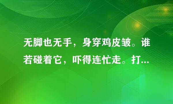 无脚也无手，身穿鸡皮皱。谁若碰着它，吓得连忙走。打一动物名，是什么动物？