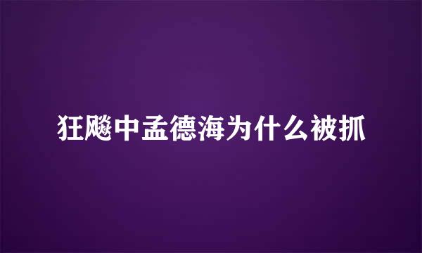 狂飚中孟德海为什么被抓