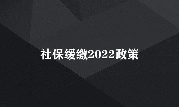 社保缓缴2022政策