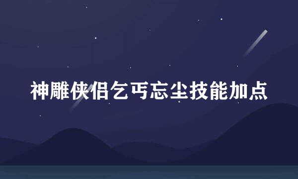 神雕侠侣乞丐忘尘技能加点