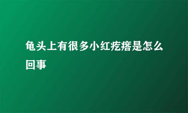 龟头上有很多小红疙瘩是怎么回事