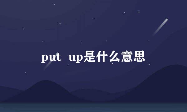 put  up是什么意思