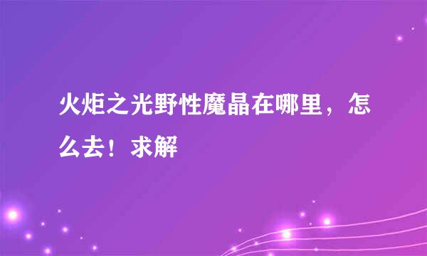 火炬之光野性魔晶在哪里，怎么去！求解