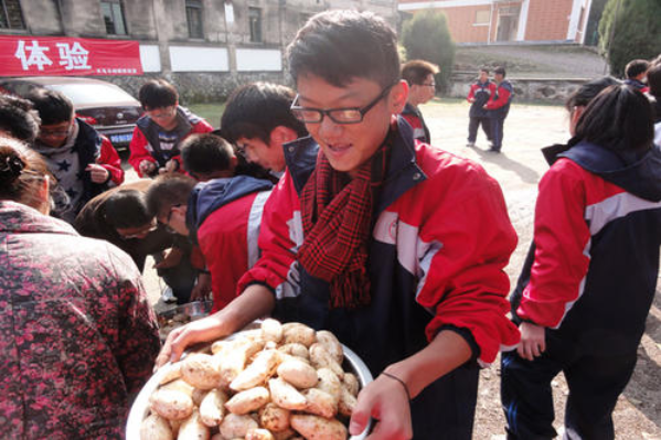 委员建议鼓励大中小学开设学农实践，是否有这个必要性？