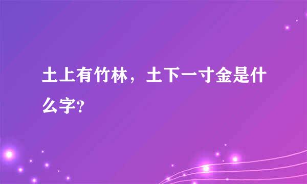 土上有竹林，土下一寸金是什么字？